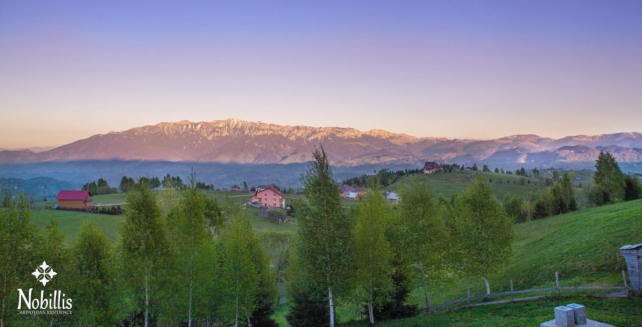 Nobillis - Carpathian Residence Peştera Extérieur photo